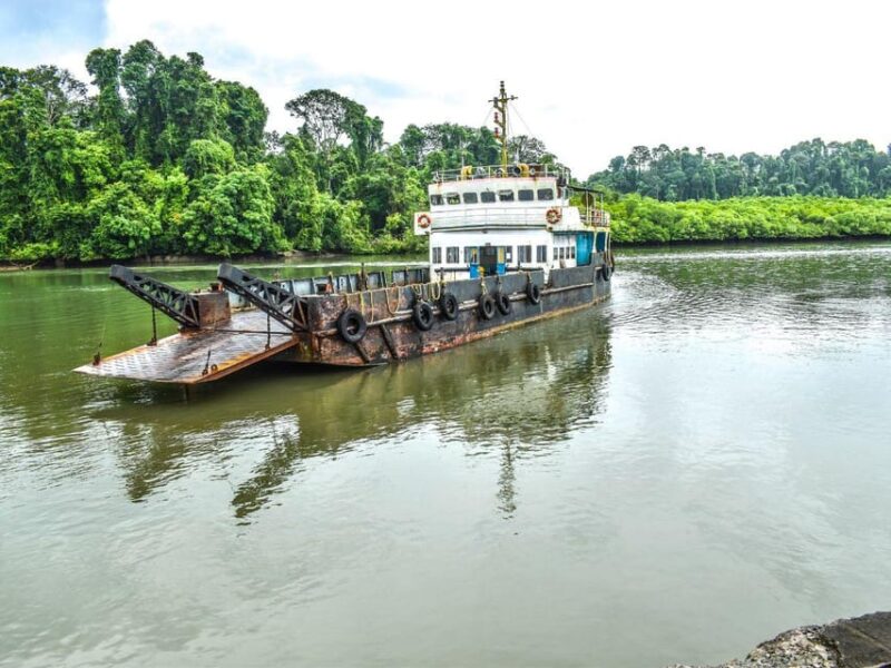 Andaman Island: Day Tour to Baratang Island - Itinerary and Transportation
