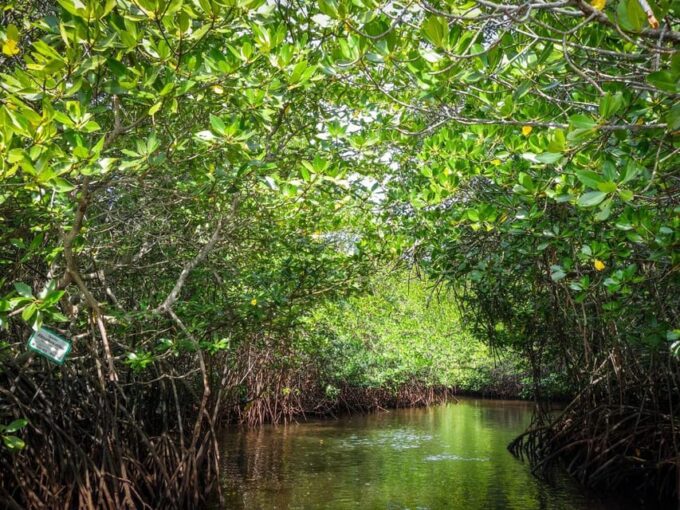 Andaman Islands: Kayaking at Havelock Island - Frequently Asked Questions