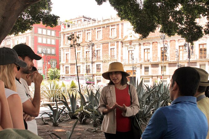 ANDARES Freewalkingtour: Historical Route in Downtown Mexico City - Accessibility and Transportation