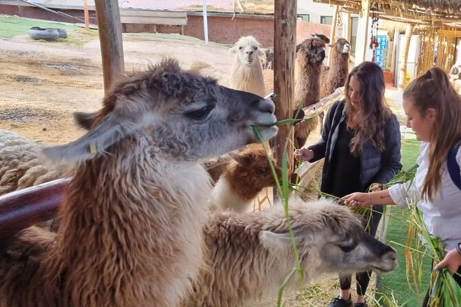 Andean Adventure: Discover Cusco and Machu Picchu in 5 Days - Discover the Sacred Valley