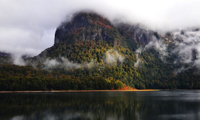 Andean Crossing: Puerto Varas to San Carlos De Bariloche - Transportation and Accessibility