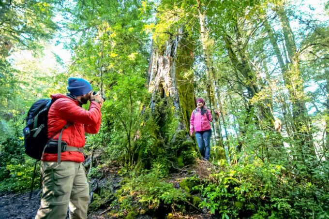 Andean Crossing: Puerto Varas to San Carlos De Bariloche - Additional Considerations