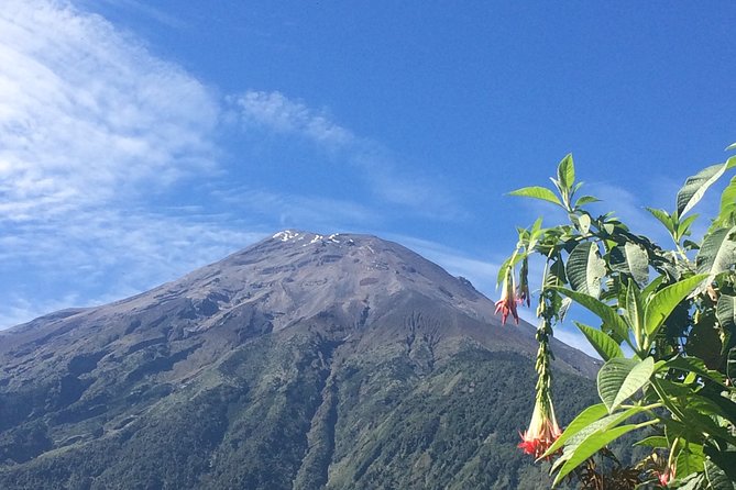Andes & Amazon, the Triangle Route 5 Days / 4 Nights (Private Trip From Quito) - Key Points