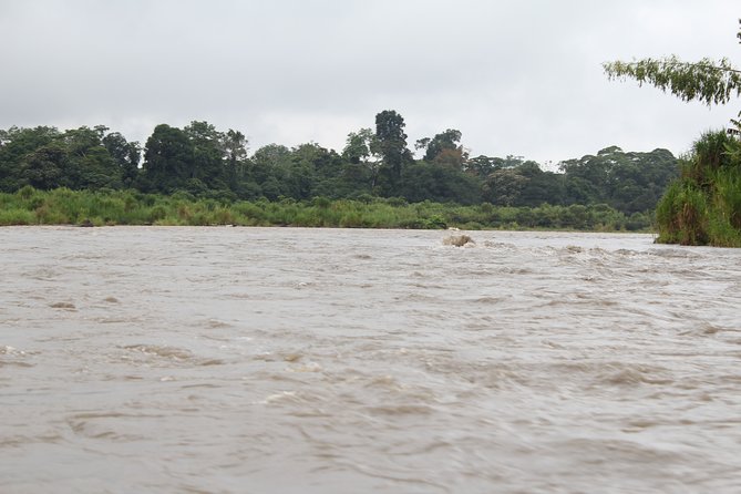 Andes & Amazon, the Triangle Route 5 Days / 4 Nights (Private Trip From Quito) - Pickup and Availability