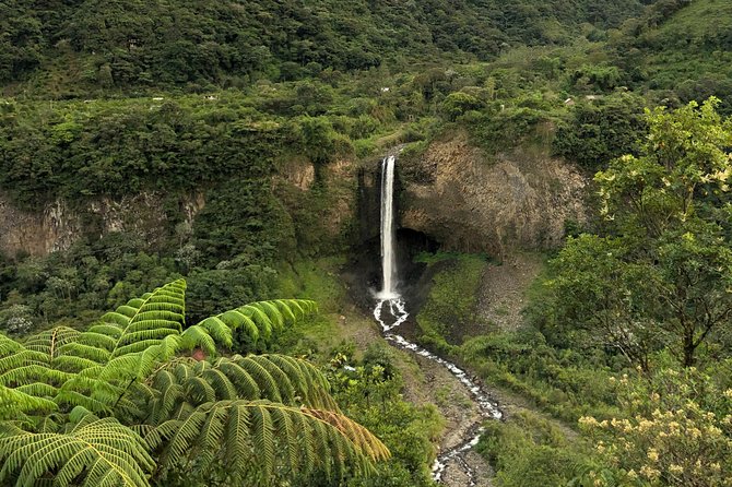 Andes & Amazon, the Triangle Route 5 Days / 4 Nights (Private Trip From Quito) - Physical Fitness Level