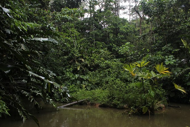 Andes & Amazon, the Triangle Route 5 Days / 4 Nights (Private Trip From Quito) - Guest Reviews