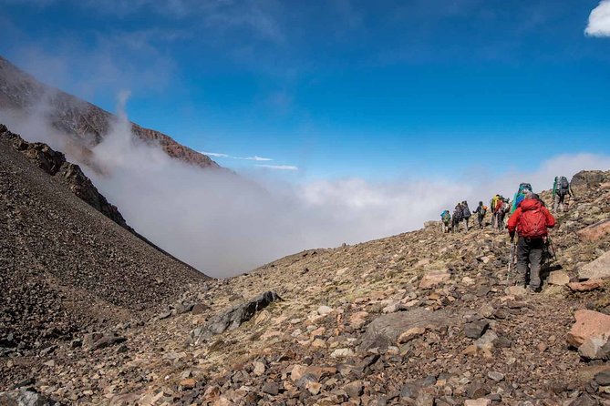 Andes Day Hiking Tour Experience - Guest Reviews and Feedback
