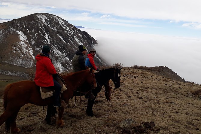 Andes Day Horseback Riding Tour and BBQ - Customer Reviews