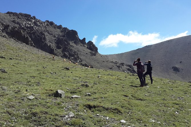Andes Hiking Experience Full Day - Local Wildlife Spotting