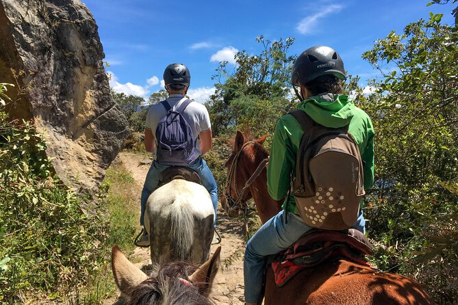 Andes Mountains Horseback Riding - Feedback From Customers