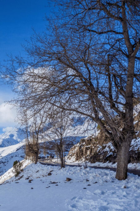 Andes Panoramic Winter: Valle Nevado and Farellones - Scenic Viewpoints