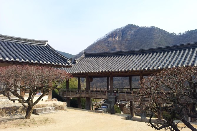 Andong Hahoe Village [Unesco Site] Premium Private Tour From Seoul - Included Services