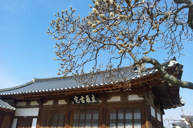 Andong Hahoe Village [Unesco Site] Premium Private Tour From Seoul - Customer Feedback