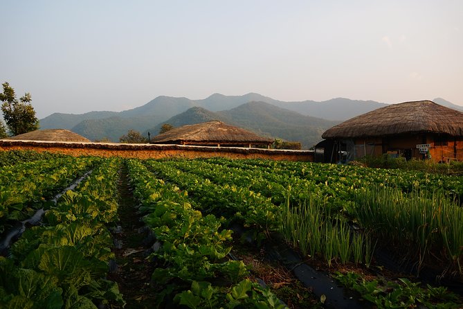 Andong Hahoe Village [Unesco Site] Premium Private Tour From Seoul - Pricing Information