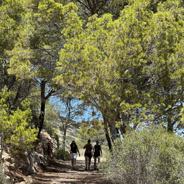 Andratx: Boat Tour to Dragonera Island + Sant Elm - Itinerary Details