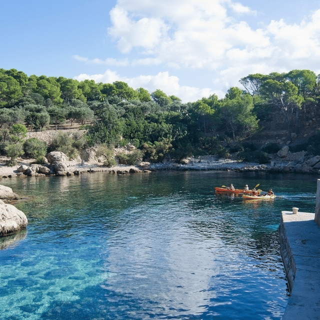 Andratx: Boat Tour to Dragonera Island + Sant Elm - Important Information