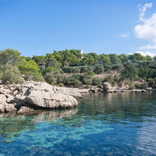 Andratx: Boat Tour to Dragonera Island + Sant Elm - Recommendations