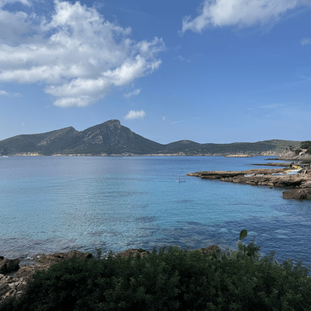 Andratx: Boat Transfer Between Port Andratx and Sant- Elm - Experience Highlights
