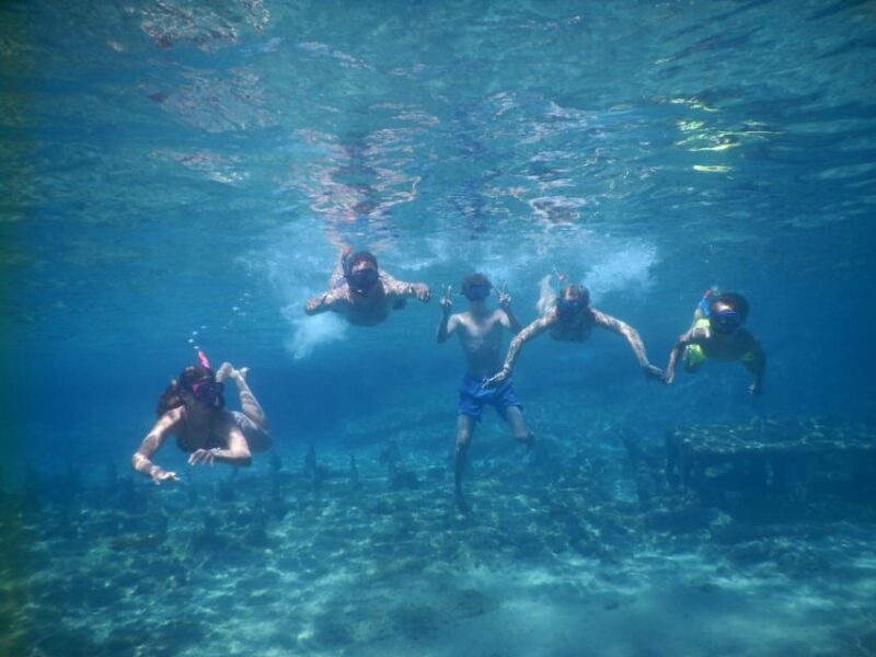 Andros: 3-Hour RIB Cruise With Food and Drinks - Cancellation Policy