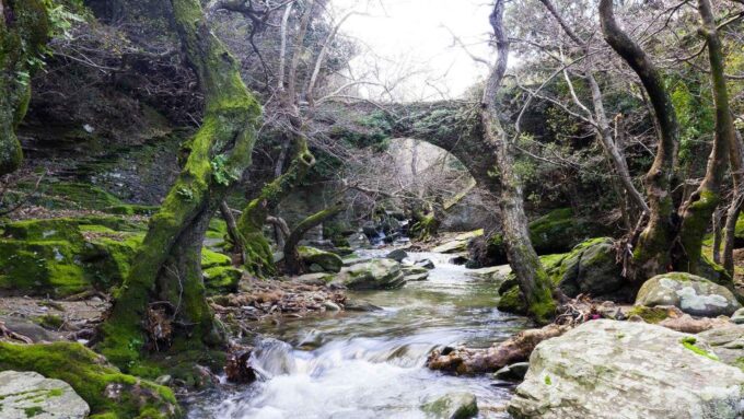 Andros: Achla River Trekking to the Waterfall - Swimming in Waterfall Waters