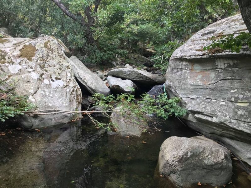 Andros Full-Day Sightseeing Tour - Pythara Waterfalls Adventure