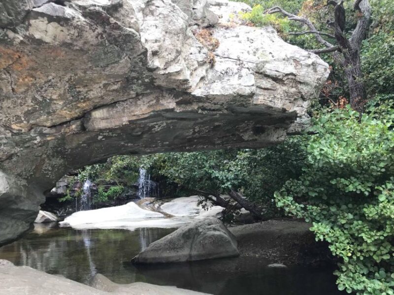 Andros Full-Day Sightseeing Tour - Andros City Exploration