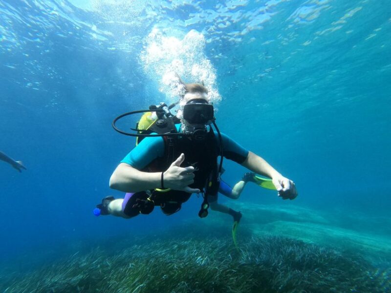 Andros: Get Your Padi Open Water Certificate! - Key Points