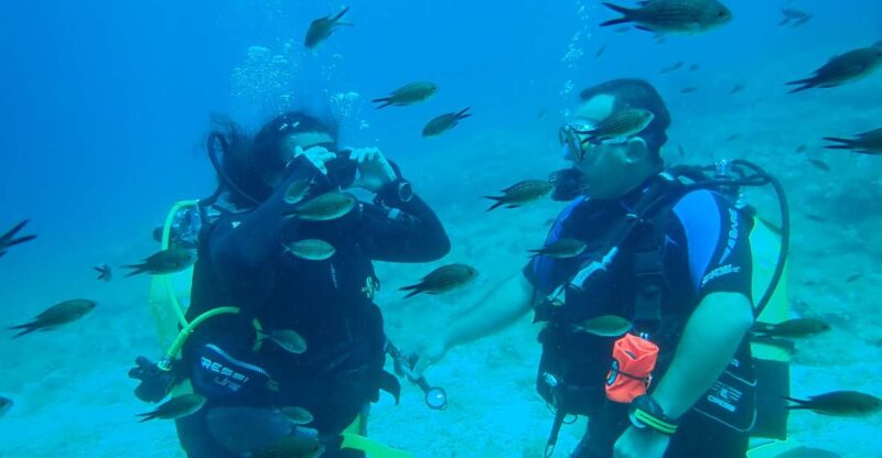 Andros: Get Your Padi Open Water Certificate! - Location and Environment