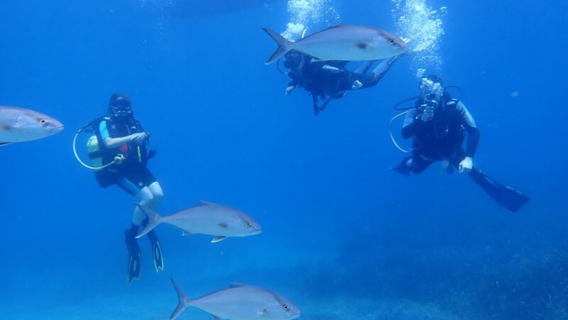 Andros: Get Your Padi Open Water Certificate! - Included in the Package