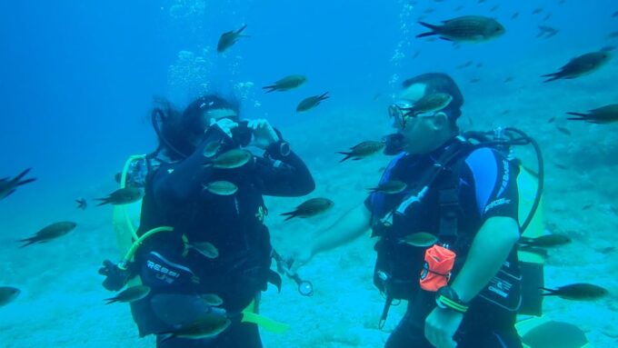 Andros: Get Your Padi Open Water Certificate! - What to Expect During the Dives