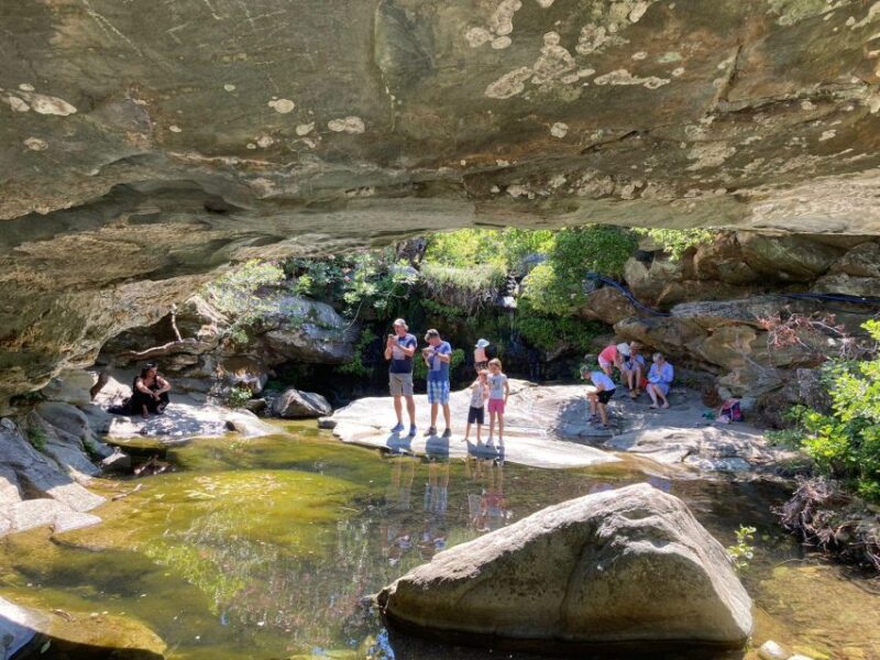 Andros Town, Pythara Falls, Menites Springs: Half-Day Tour - Tour Features
