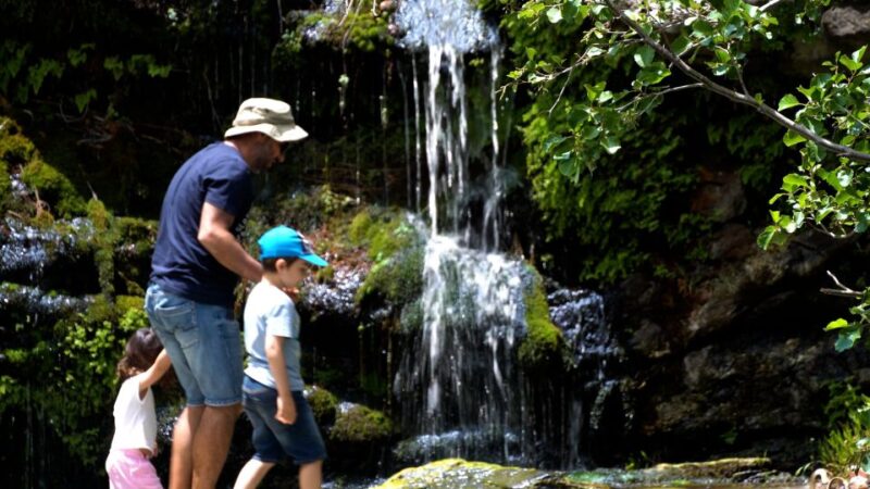 Andros Wine Tasting & Pythara Waterfalls Half-Day Tour - Key Points