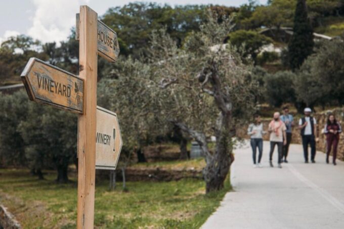 Andros Wine Tasting & Pythara Waterfalls Half-Day Tour - Guided Tour