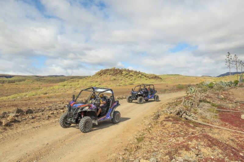 Anfi Beach: Guided Buggy Tour. - Age and Health Restrictions