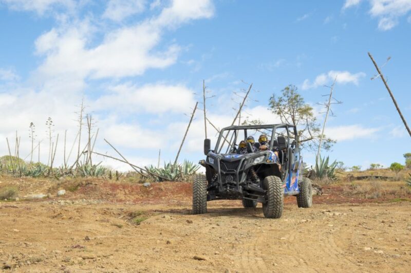 Anfi Beach: Guided Buggy Tour. - Meeting Location