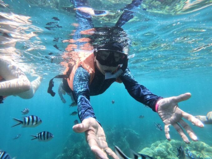 Ang Thong Full-Day Cruise With Sunset by the Red Baron Boat - Frequently Asked Questions