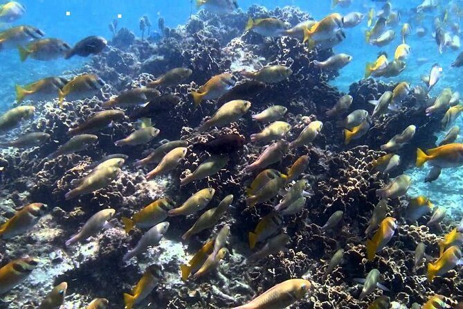 Ang Thong National Marine Park Tour by Speed Boat with Lunch - What the Tour Offers: An In-Depth Look