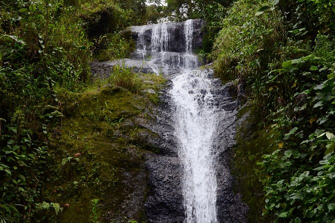 Angel Falls and Guacharos Cave - 7 Waterfalls - Meeting Point and End Point