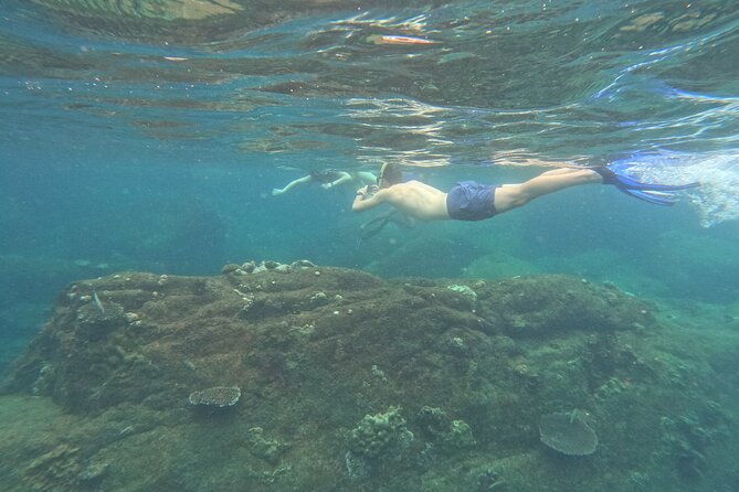 Angel Rock Snorkeling Site - Good To Know