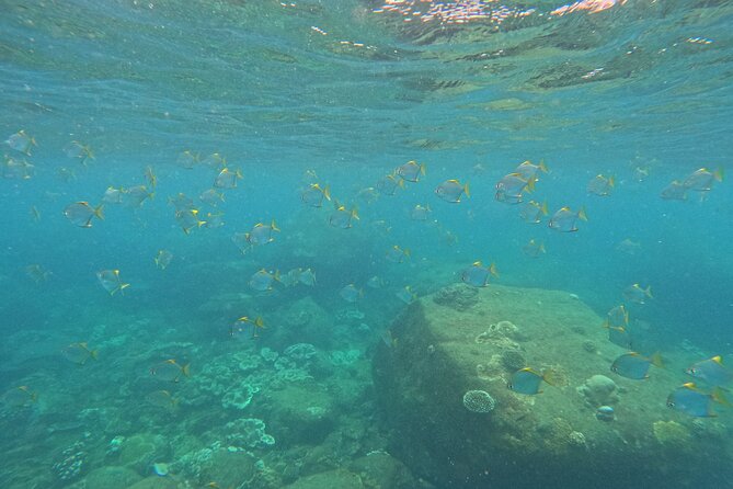 Angel Rock Snorkeling Site - Included Services