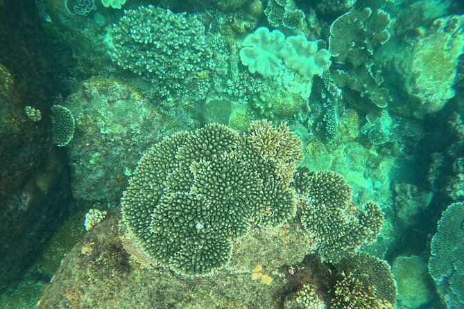 Angel Rock Snorkeling Site - Planning Your Visit