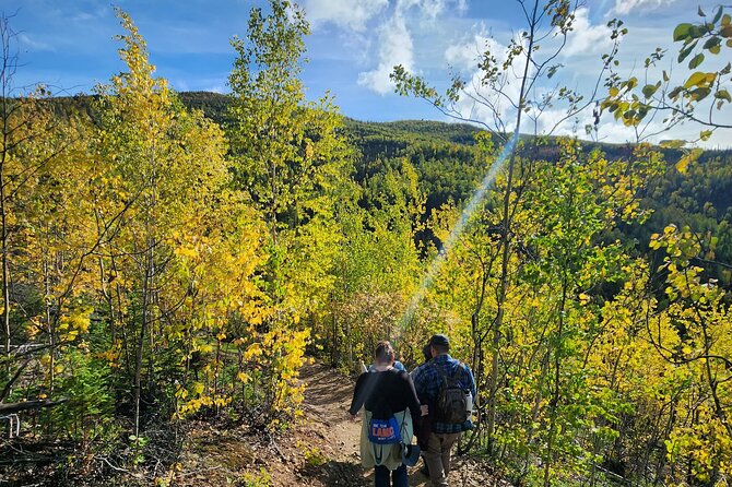 Angel Rocks Hike and Chena Hot-Springs Soak Guided Tour - Tour Group Size