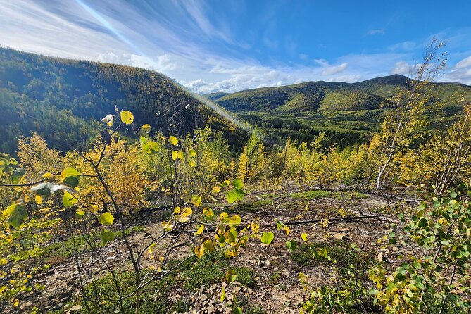 Angel Rocks Hike and Chena Hot-Springs Soak Guided Tour - Traveler Reviews