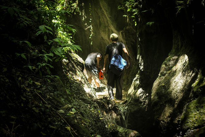 Angelic Stream Trekking (Departure With 4 People) - Meeting and Pickup