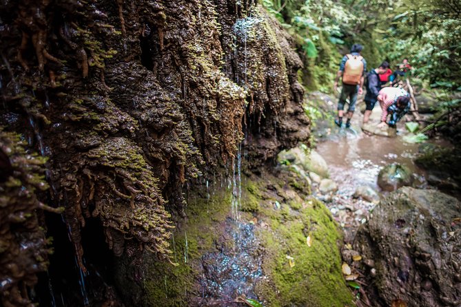 Angelic Stream Trekking (Departure With 4 People) - Preparing for the Trek