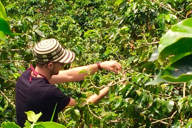 Angelópolis Coffee Tour - Tour Accessibility