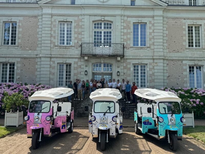 Angers: City Center Tour in an Electric Tuk-Tuk - Booking Details