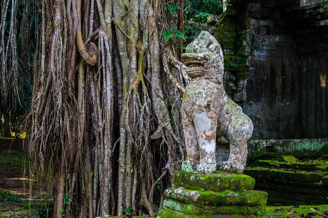Angkor Archaeological Park Ticket - Visitor Reviews