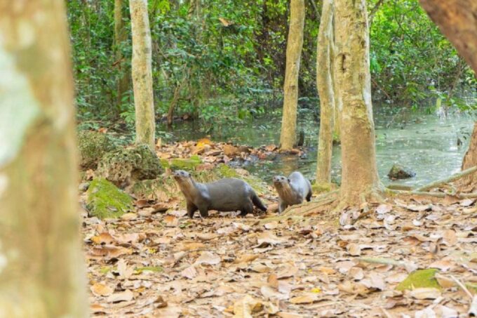 Angkor Bike Tour & Gondola Sunset Boat W/ Drinks & Snack - Frequently Asked Questions