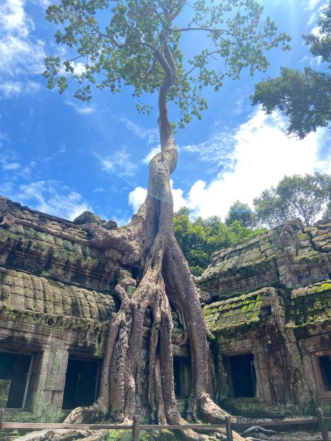 Angkor Exploration Day Tour - Experience Highlights
